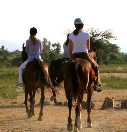 Horse ride to visit Rabari tribe in Narlai
