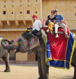 An exotic elephant ride Image