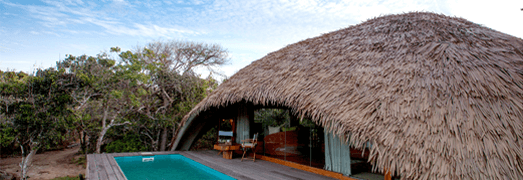 Sri Lanka Holiday Cultural Tour - 07 Nights 08 Days Tour