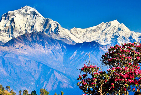 Annapurna Base Camp Trekking: 12 Nights & 13 Days - (Min 2 Pax) Land Only