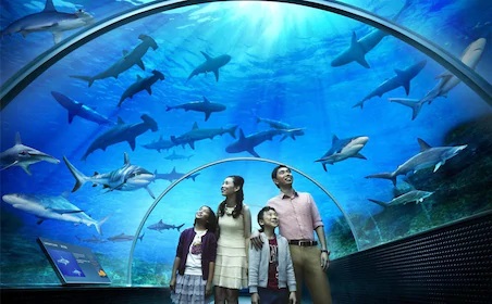 Full Day Langkawi City Tour with Underwater World