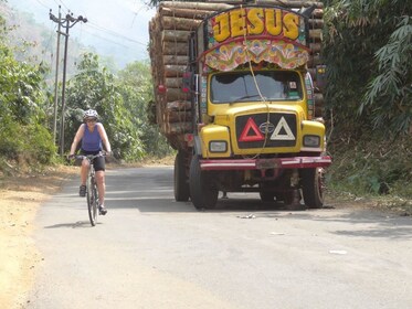 Cycling in the countryside ending with lunch-Udaipur