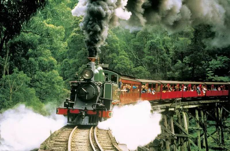 Puffing Billy & wineries